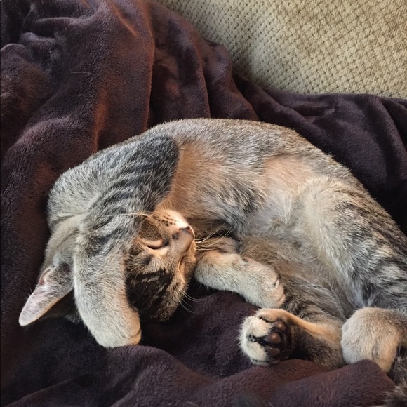 Meet your Posher, Patty - Picture 4 of 12